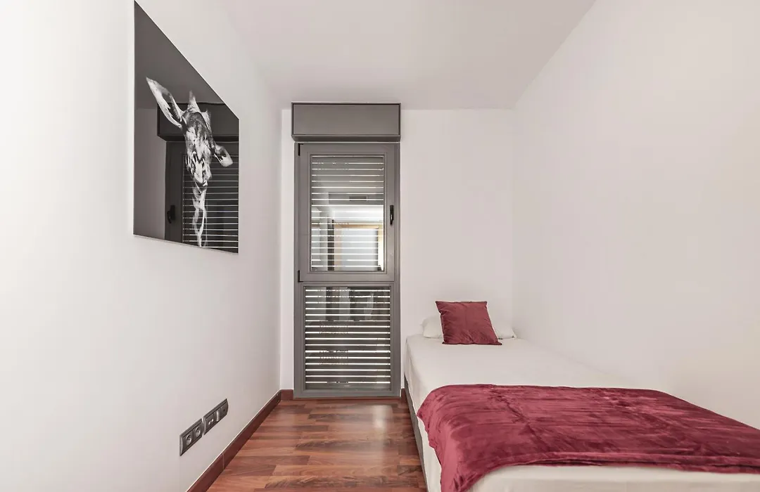 Luxury Apartments In Barrio Palacio-1