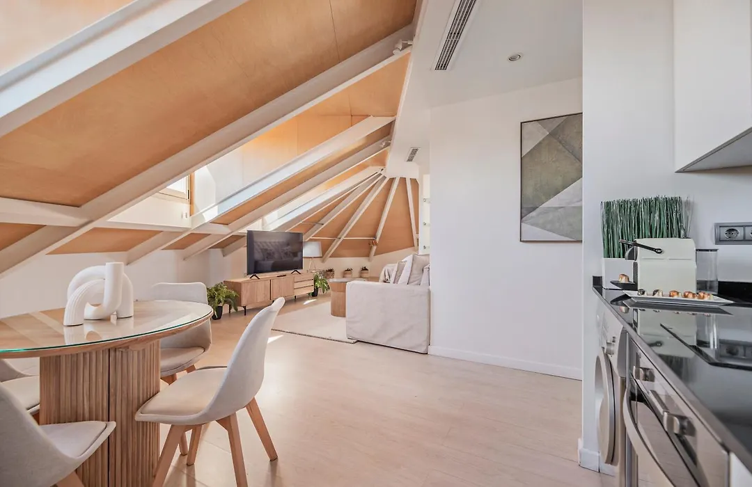 Luxury Apartments In Barrio Palacio-1