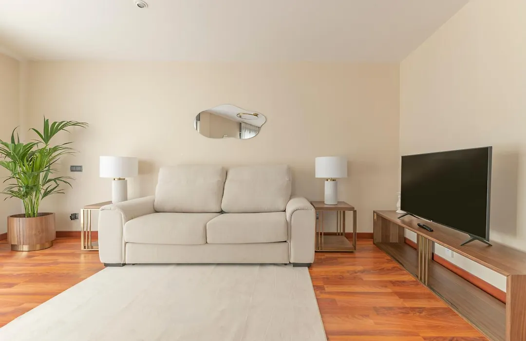 Luxury Apartments In Barrio Palacio-1