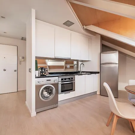 Luxury Apartments In Barrio Palacio-3